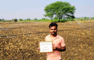 शाकम्भरी योजना अंतर्गत किसानों को अधिकतम 75 प्रतिशत अनुदान