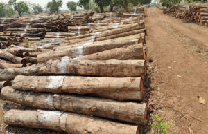 ई-नीलाम: पारदर्शिता और राजस्व वृद्धि की दिशा में एक सकारात्मक पहल