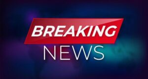 छत्तीसगढ़ महिला आयोग द्वारा प्रकरणों की सुनवाई 13 मार्च को जगदलपुर में