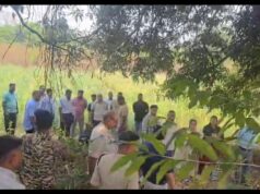 तमनार में अवैध अफ़ीम की खेती का भंडाफोड़, मुख्य आरोपी हिरासत में,कड़ी पूछताछ जारी