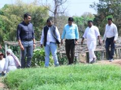 डीएमएफ मद से लैलूंगा क्षेत्र में रागी की खेती को दिया जा रहा बढ़ावा, कलेक्टर ने किया निरीक्षण