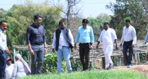 डीएमएफ मद से लैलूंगा क्षेत्र में रागी की खेती को दिया जा रहा बढ़ावा, कलेक्टर ने किया निरीक्षण