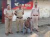 युवती से छेड़छाड़ करने वाले आरोपी युवक को महिला थाना पुलिस ने किया गिरफ्तार