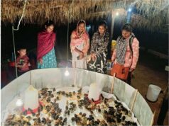 मुर्गीपालन ने बदली श्रीमती अनुसुइया नेताम की जिंदगी