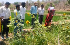 एकीकृत कृषि और आजीविका के लिए “दीदी के बखरी “से आ रही नई क्रांति