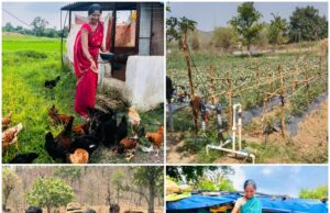 एकीकृत कृषि और आजीविका के लिए “दीदी के बखरी “से आ रही नई क्रांति कांकेर जिले की पहल