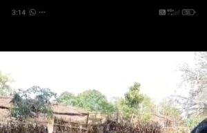 बिरहोर आवास सर्वेक्षण के दौरान सामूहिक भोज का आयोजन