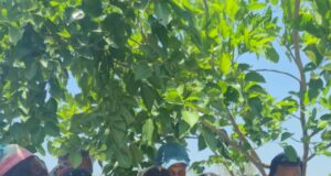 मूलभूत कार्यों को सर्वोच्च प्राथमिकता,,, चंद्र प्रकाश सूर्या