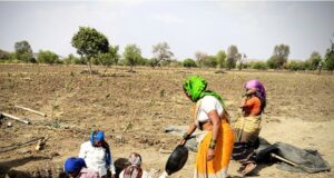 NTPC सीपत में समिति संचालन पर उठे सवाल, सदस्यों ने कलेक्टर से की शिकायत