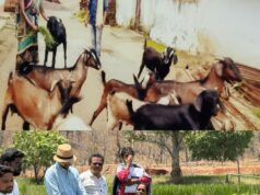 थोड़ी मदद, थोड़े अनुभव ने मोतिन को बनाया लखपति दीदी