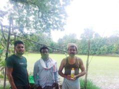 नैनो उर्वरकों के संतुलित उपयोग से धान के उत्पादन में उल्लेखनीय वृद्धि