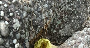ग्राम हिदूर के जंगल-पहाड़ी क्षेत्र से 03 नग टिफिन IED बरामद