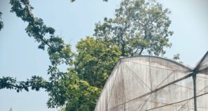आगामी खरीफ फसल की तैयारी हेतु मासिक कार्यशाला आयोजित