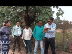मस्तूरी में अवैध ईंट भट्ठे पर राजस्व विभाग की कार्रवाई, 20 हजार ईंटें जब्त