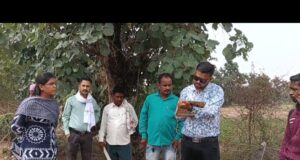 मस्तूरी में अवैध ईंट भट्ठे पर राजस्व विभाग की कार्रवाई, 20 हजार ईंटें जब्त