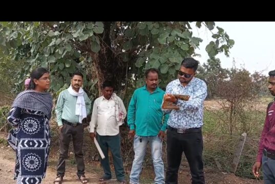 मस्तूरी में अवैध ईंट भट्ठे पर राजस्व विभाग की कार्रवाई, 20 हजार ईंटें जब्त