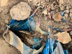 ग्राम टेकमीटोला के जंगल-पहाड़ी क्षेत्र से 01नग प्रेशर कुकर IED बरामद।
