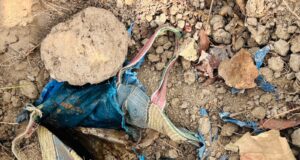 ग्राम टेकमीटोला के जंगल-पहाड़ी क्षेत्र से 01नग प्रेशर कुकर IED बरामद।