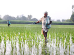 82.19 करोड़ रुपए की अग्रिम कृषि सहायता और 31.28 करोड़ रुपए के खाद-बीज से खरीफ खेती को मिली नई रफ्तार