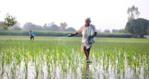 82.19 करोड़ रुपए की अग्रिम कृषि सहायता और 31.28 करोड़ रुपए के खाद-बीज से खरीफ खेती को मिली नई रफ्तार
