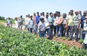 जिले में जैविक एवं प्राकृतिक खेती को बढ़ावा देने के लिए किसानों को दिया जा रहा तकनीकी प्रशिक्षण