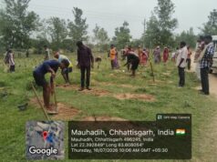जशपुर जिले में 2 लाख 72 हजार साजा-अर्जुना पौधों का पौधरोपण शुरू