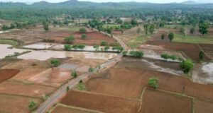 प्रधानमंत्री जनमन योजना से वनांचल ग्राम छिंदपुर में बनी पक्की सड़क, ग्रामीणों की राह हुई आसान