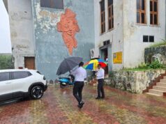 लगातार बारिश के बीच कलेक्टर ने शहर के बाढ़ एवं जल भराव संभावित क्षेत्रों का किया निरीक्षण