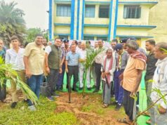 प्रकृति संरक्षण ही भविष्य की सबसे बड़ी जिम्मेदारी: कलेक्टर जन्मेजय महोबे हरिलीला ट्रस्ट का आयोजन: गुरु पूर्णिमा पर बनारी में 500 पौधों का रोपण, गुरुजनों का सम्मान