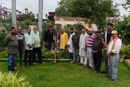 पर्यावरण प्रेमियों द्वारा क्रांतिवीर चंद्रशेखर आजाद की जयंती पर वृक्षारोपण किया गया