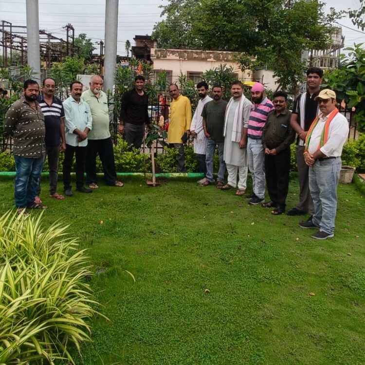 पर्यावरण प्रेमियों द्वारा क्रांतिवीर चंद्रशेखर आजाद की जयंती पर वृक्षारोपण किया गया