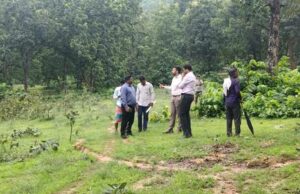 शत-प्रतिशत एवं त्रुटिरहित ई-गिरदावरी के लिए कलेक्टर ने किया खरसिया के गांवों का मैदानी निरीक्षण