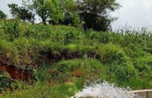 सौर सुजला योजना-किसानों के खेतों तक पहुंची सूरज की रोशनी, बढ़ी सिंचाई की ताकत