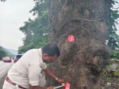 सड़क किनारे पेड़ों पर लगाए जा रहे Tree Marker रेडियम रिफ्लेक्टर, रात में दुर्घटनाओं की आशंका होगी कम