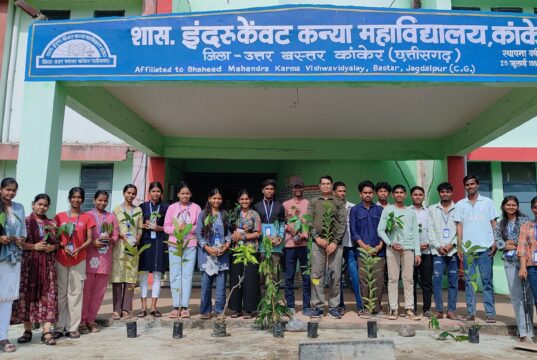 ग्रीन आर्मी ने शासकीय महाविद्यालय परिसर में किया वृक्षारोपण