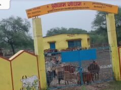 गौधाम में गोवंश की मौत का मामला, गौसेवकों ने की जिम्मेदार अधिकारियों पर कार्रवाई की मांग