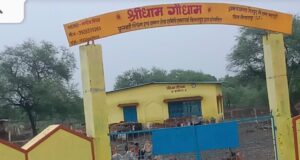 गौधाम में गोवंश की मौत का मामला, गौसेवकों ने की जिम्मेदार अधिकारियों पर कार्रवाई की मांग