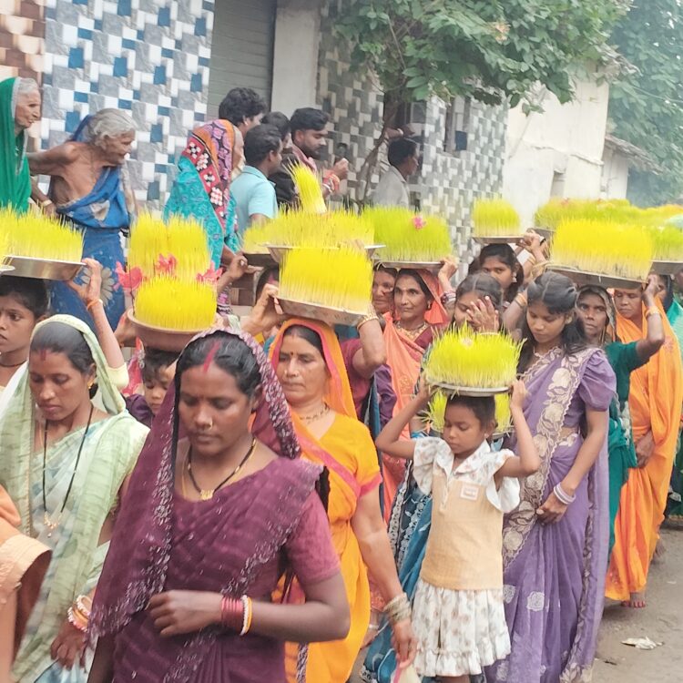ग्राम पंचायत धोबनी में धूमधाम से हुआ भोजली विसर्जन