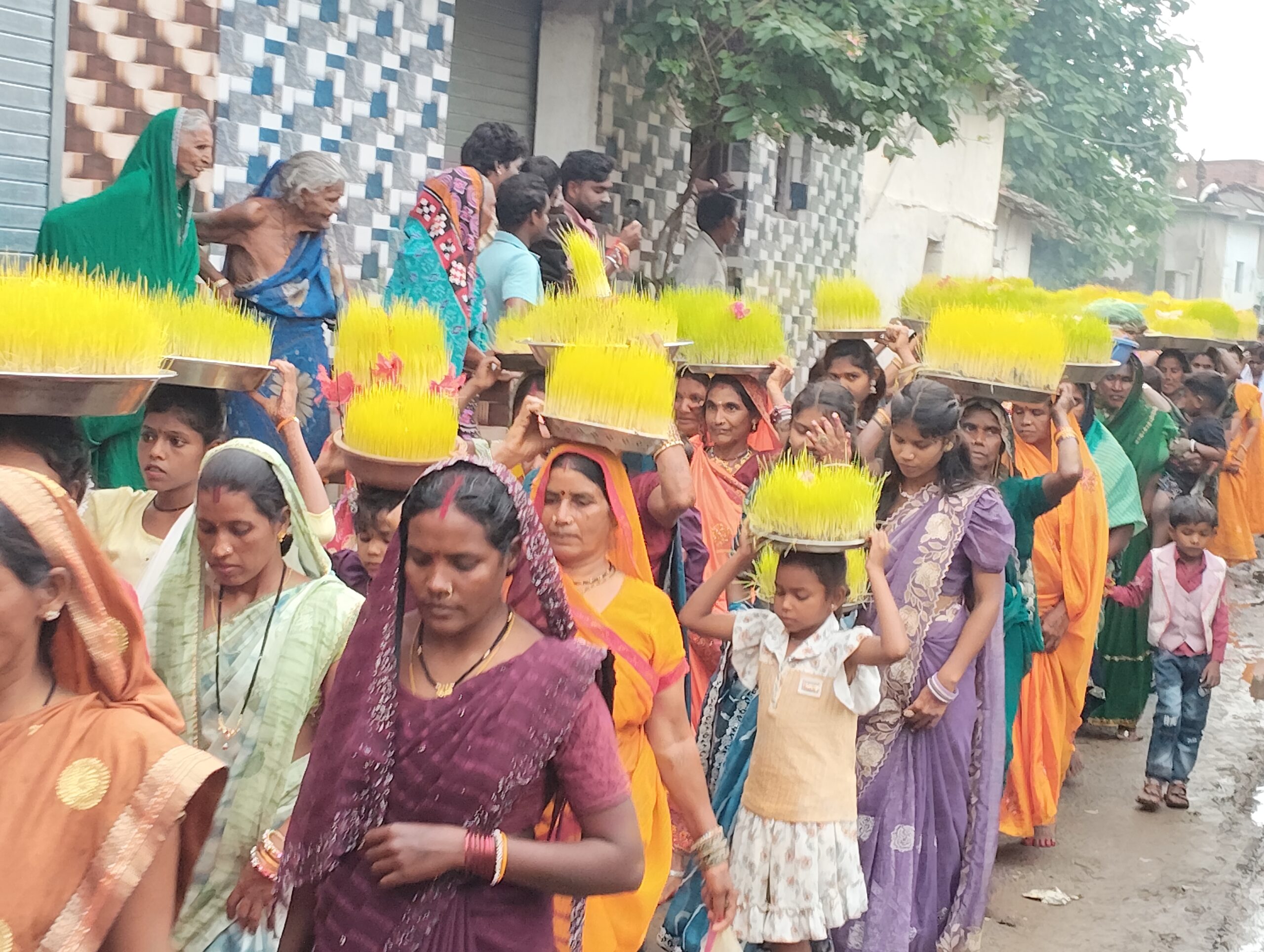 ग्राम पंचायत धोबनी में धूमधाम से हुआ भोजली विसर्जन
