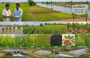 नदी किनारे के 152 गांवों में बदलेगा खेती का गणित, धान के साथ बढ़ेंगे आय के नए विकल्प