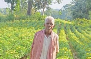 धान से गेंदा की खेती की ओर बढ़े आनंद राम, 0.400 हेक्टेयर में कमाया 3.96 लाख रुपए