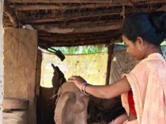 गणपति बप्पा की मिट्टी की प्रतिमा बनाकर बस्तर की महिलाओं ने हुनर से कमाए 1.80 लाख रुपए
