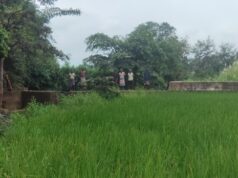 सेवा की कहानी : स्टॉपडेम से खुशहाल हुए आदिवासी परिवार