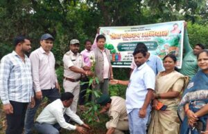 तिमेड़ में गूंजा पर्यावरण संरक्षण का संदेश, पौधरोपण के साथ चला स्वच्छता अभियान