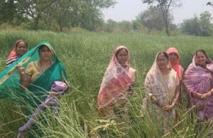 सेवा संकल्प अभियान; औषधीय खस की खेती से आत्मनिर्भरता की ओर बढ़ते कदम