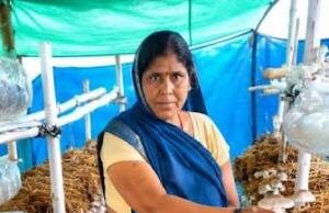 आत्मनिर्भरता की नई मिसाल- खेतों से मशरूम उत्पादन तक मिथिला दीदी ने लिखी सफलता की नई कहानी