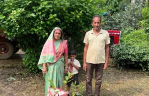 हरित रायगढ़ अभियान के तहत 11 हजार 803 पौधों का निःशुल्क वितरण
