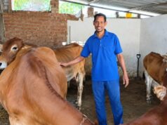 नस्ल सुधार से बढ़ा दुग्ध उत्पादन, मजबूत हुई दयासागर की आजीविका