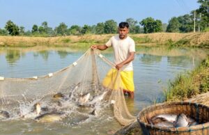 सेवा की कहानी : सेवा संकल्प अभियान: डबरी बनी समृद्धि का आधार, सिंचाई के साथ मछली पालन से बढ़ी आय