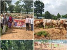 पशुधन विकास विभाग ने चलाए व्यापक अभियान